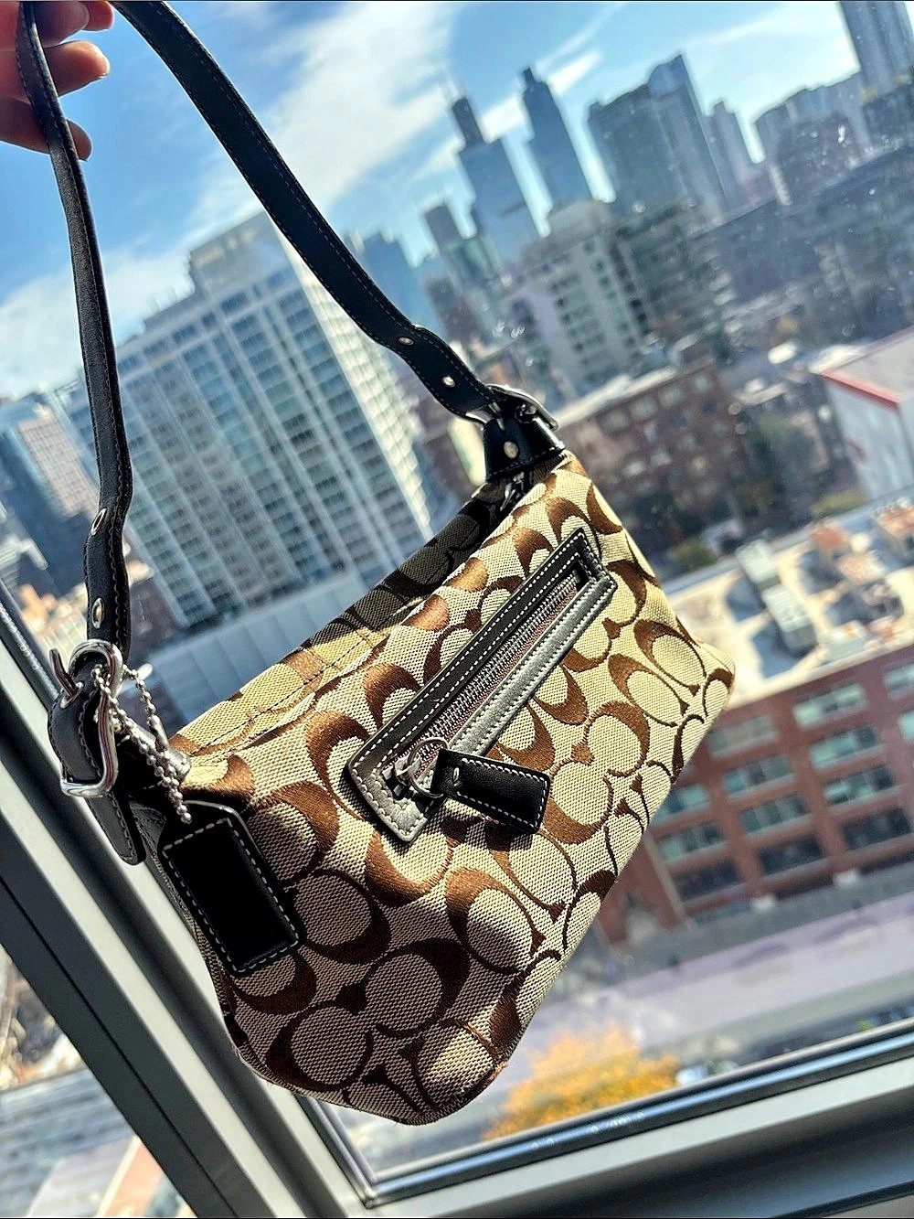 Coach Signature Bag Brown